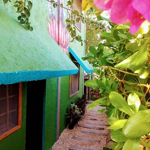 Utopia Close To The Town Holbox