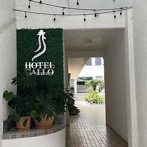hotel-gallo-rubio.guadalajarahotels.info/